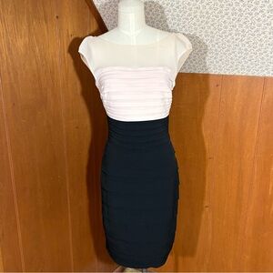 Signature by Sangria Blush Pink and Black Sheer Yoke Dress Size 6